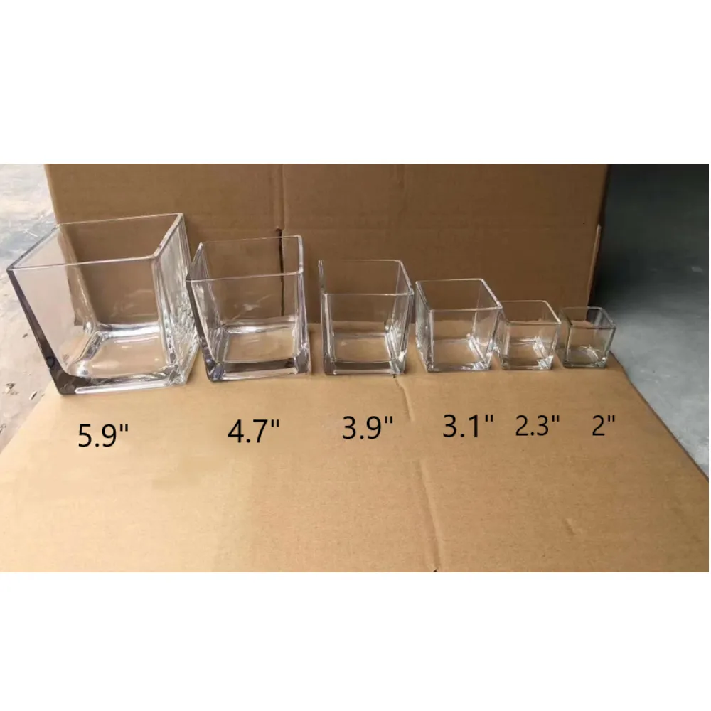 Bulk Clear Square Glass Vases Clear Glass Cube Wholesale
