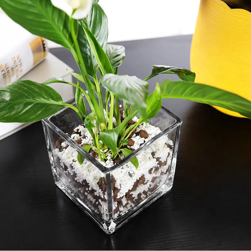 Bulk Clear Square Glass Vases Clear Glass Cube Wholesale