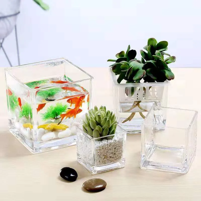 Bulk Clear Square Glass Vases Clear Glass Cube Wholesale