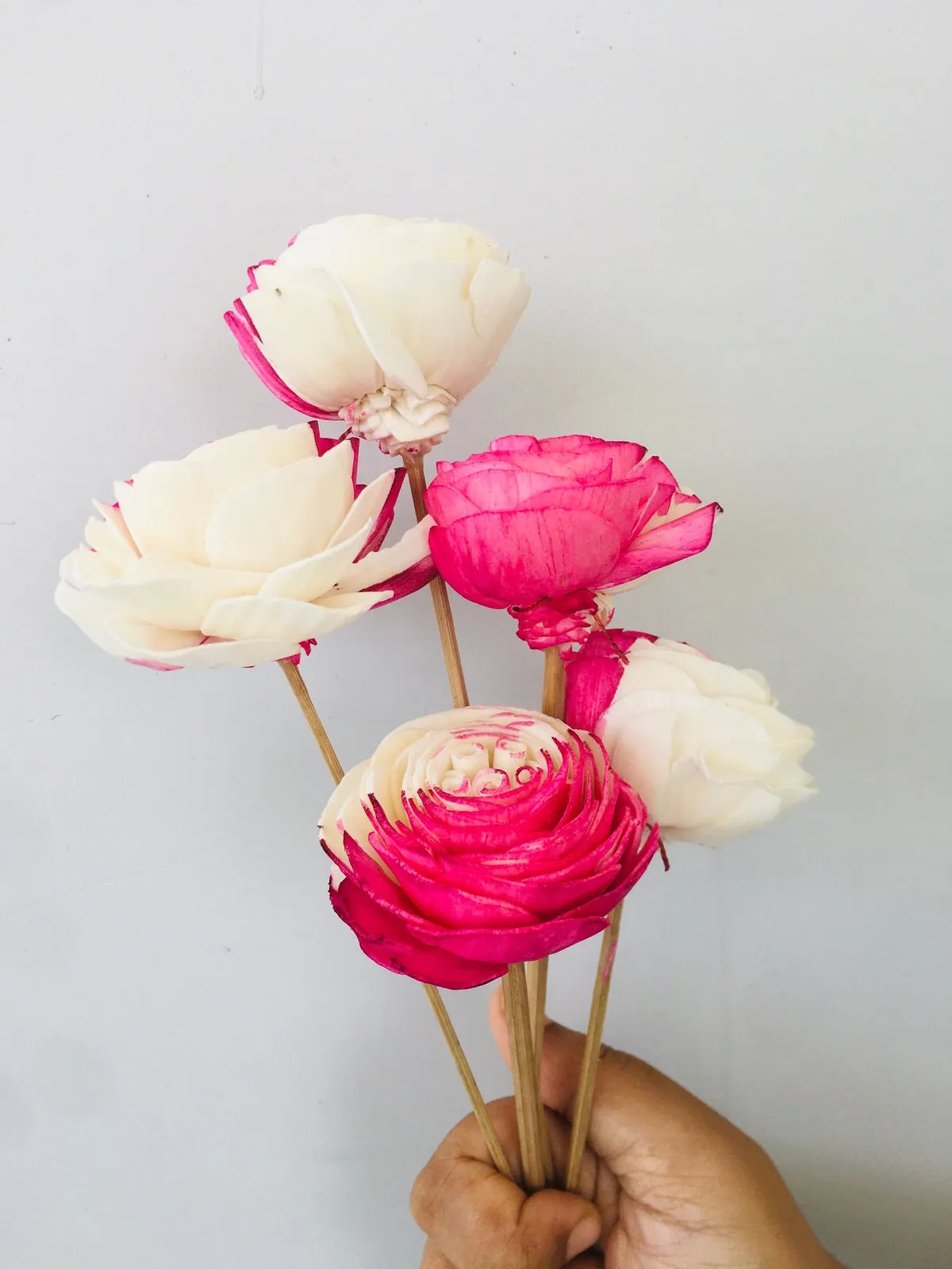 Fuscia Sola Flower | 5pcs