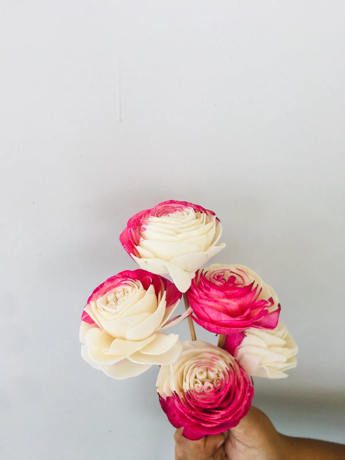 Fuscia Sola Flower | 5pcs