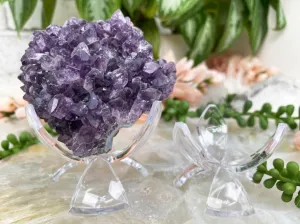 Plastic Tulip Stand for Crystals