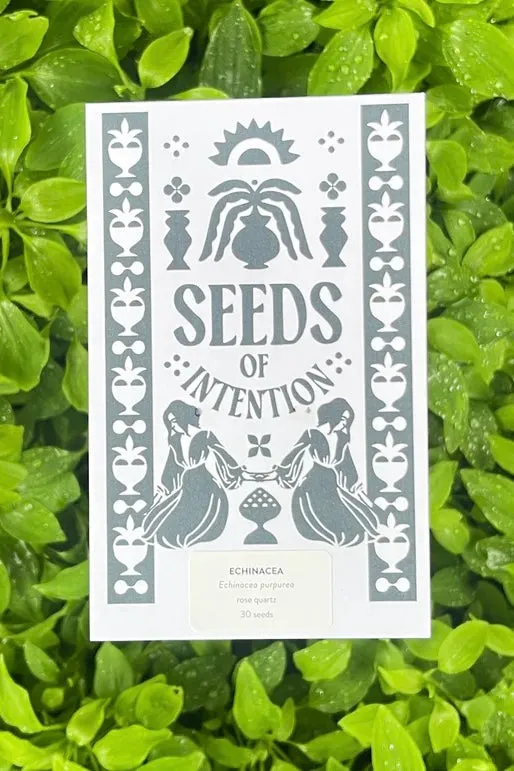 SEEDS OF INTENTION ECHINACEA