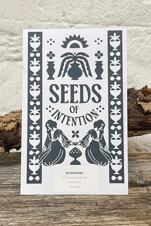 SEEDS OF INTENTION ECHINACEA