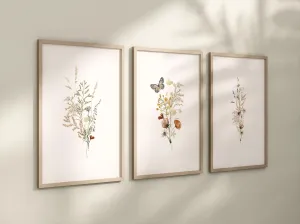 Set of 3 Boho Butterfly and Wildflowers Floral Art Prints